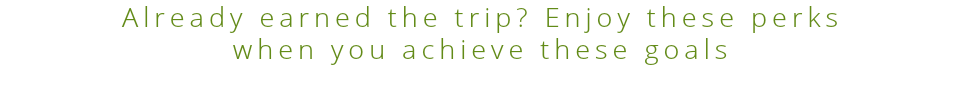 Already earned the trip? Enjoy these perks when you achieve these goals 